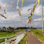 LINE_ALBUM_202554 せせらぎ公園こいのぼり見学_250504_1.jpg